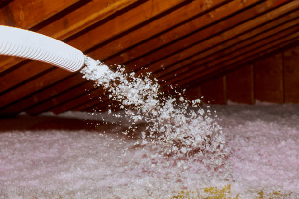 Best Insulation Installation Services in San Tan Valley, AZ