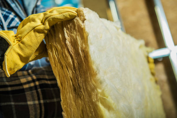 Best Residential Insulation in San Tan Valley, AZ